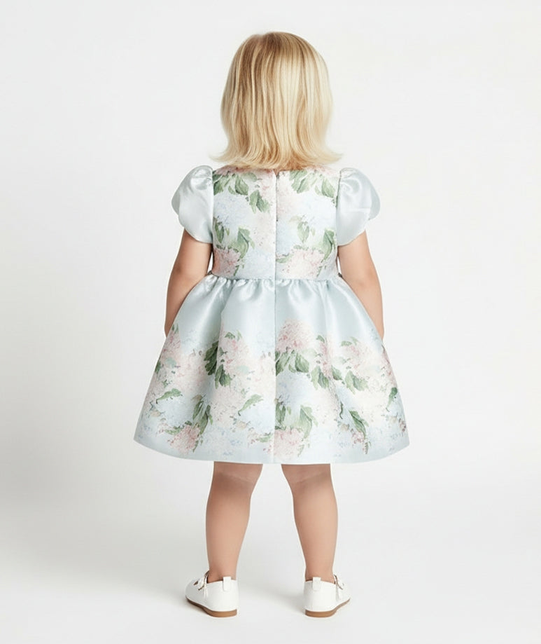 Mavi Ortanca Bebek Elbisesi