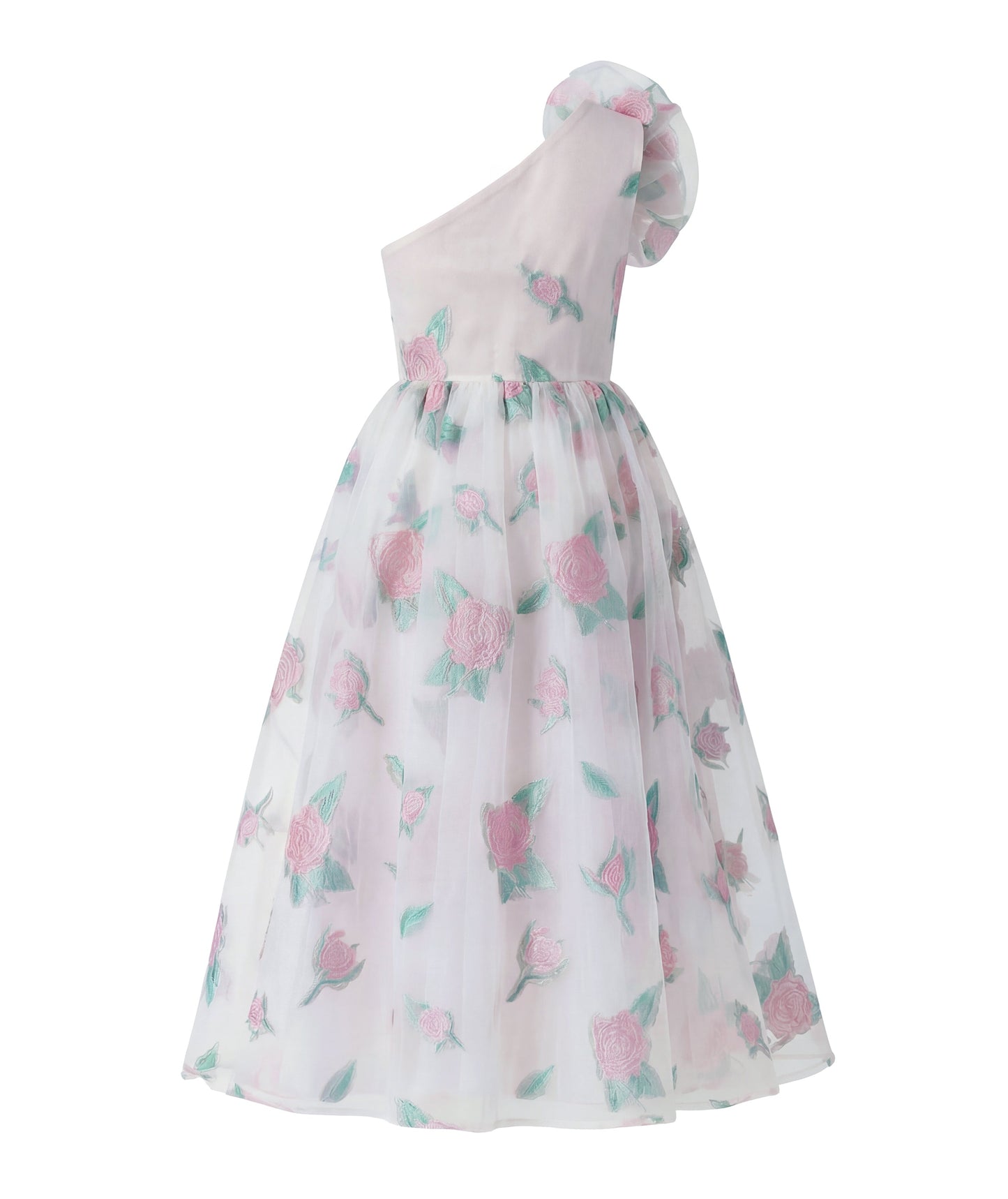 Organza Jakarlı Kadın Elbisesi