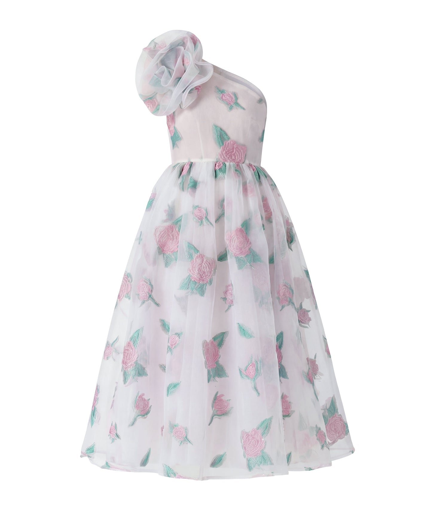 Organza Jakarlı Kadın Elbisesi