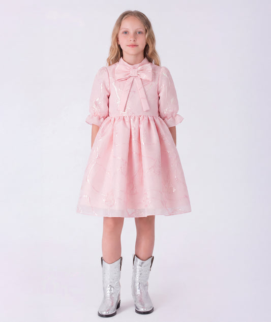 Pudra Pembe Organze Elbise