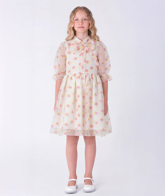 Ekru Organze Fiyonk Yaka Elbise | 5-6 Yaş