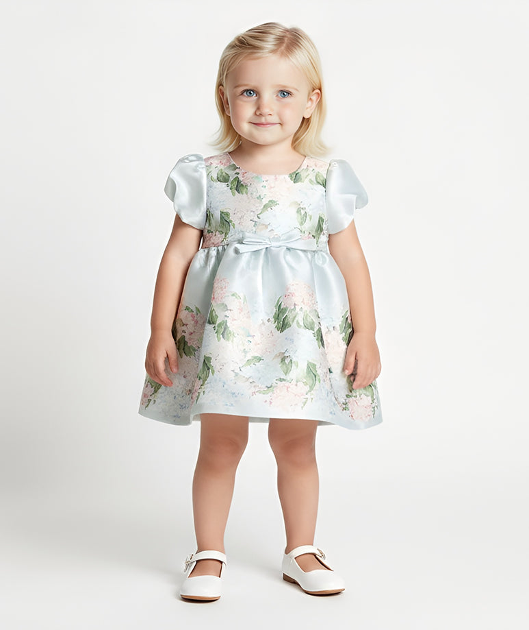 Mavi Ortanca Bebek Elbisesi