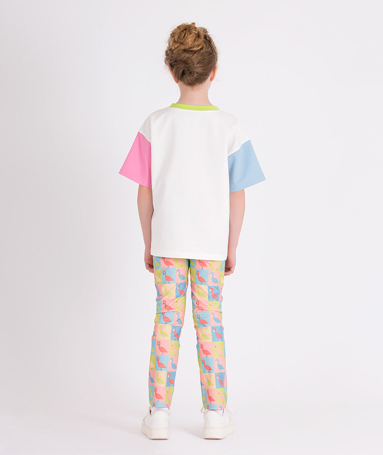 colorful flamingo prints
